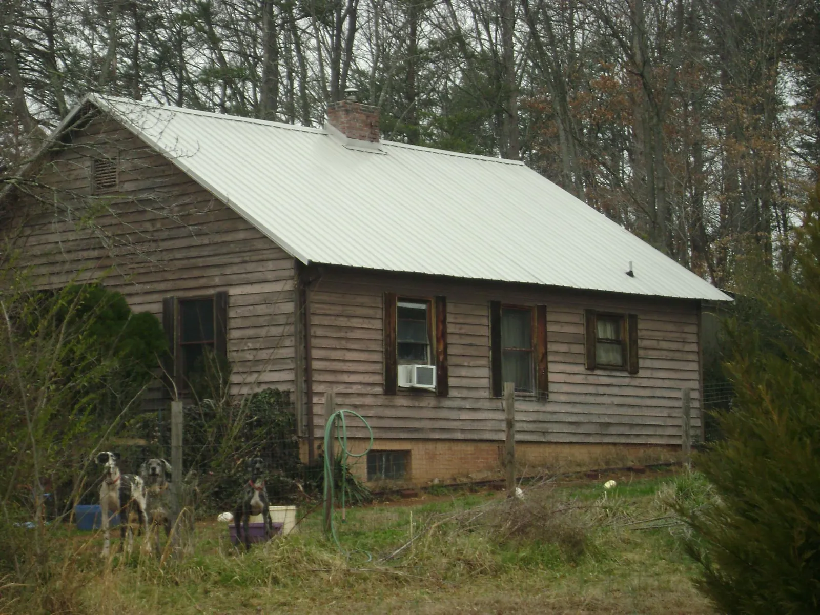 White metal roof on an old wood sided farmhouse, from a Asphalt Shingle Roof Repair job in Colorado Springs